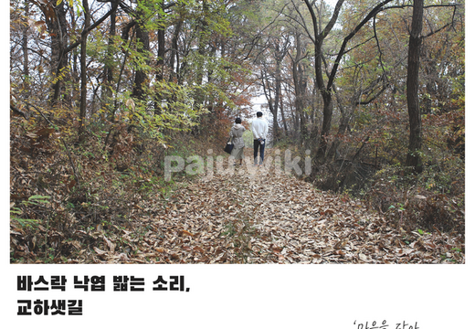 거리사진전