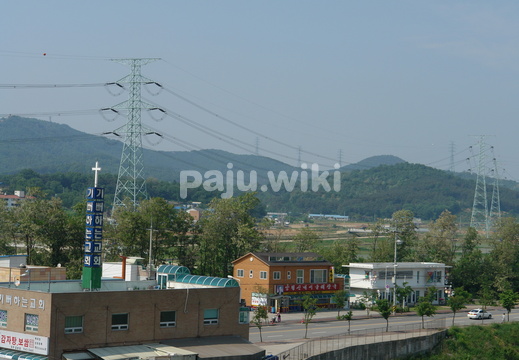 pajuwiki-soni0243