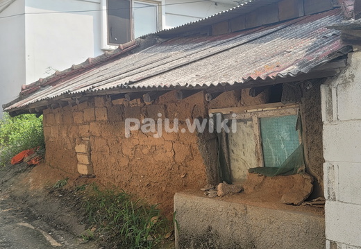 pajuwiki금촌새말 20210912 0014