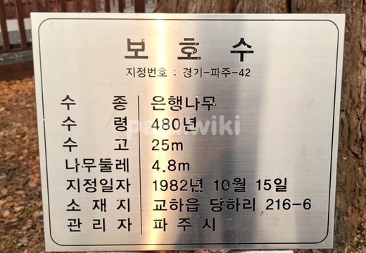 ksh당하보호수20220225 02