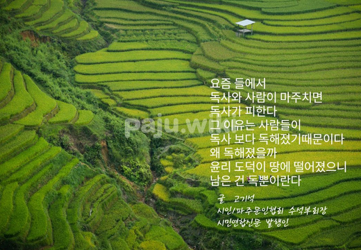 파주갤러리