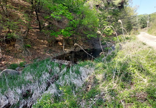 20250430분수영장도로 12