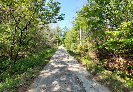 20250430분수영장도로 13