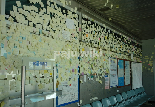 pajuwiki-soni0226
