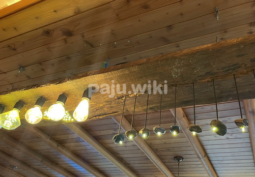 커피의 시작, 드발롱