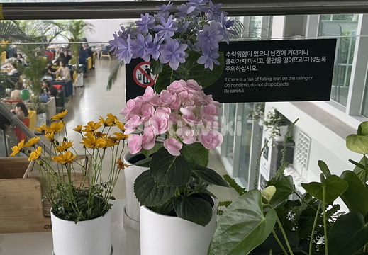 문지리535의 5월