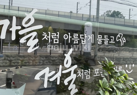 이름이 궁금한 태리영 카페