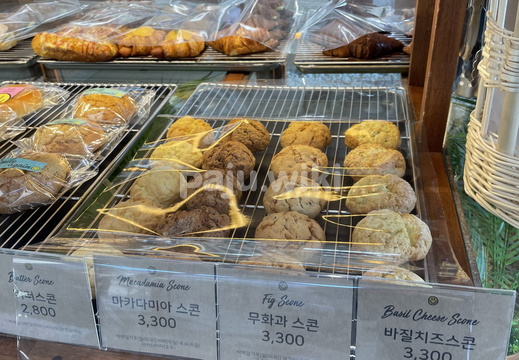 빵의 진실 폴콘