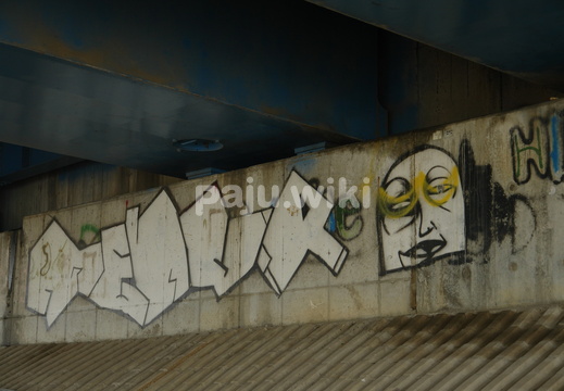 pajuwiki-공릉천005