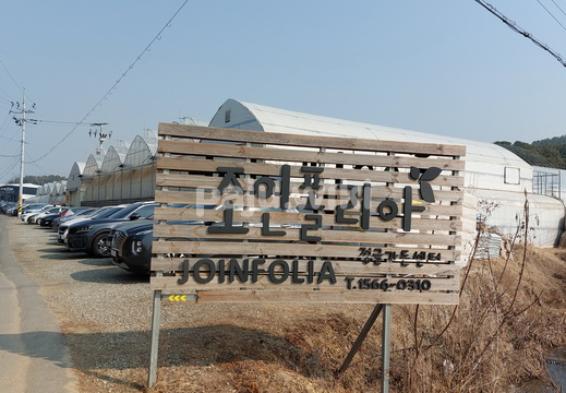 조인폴리아