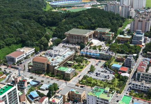 시청청사