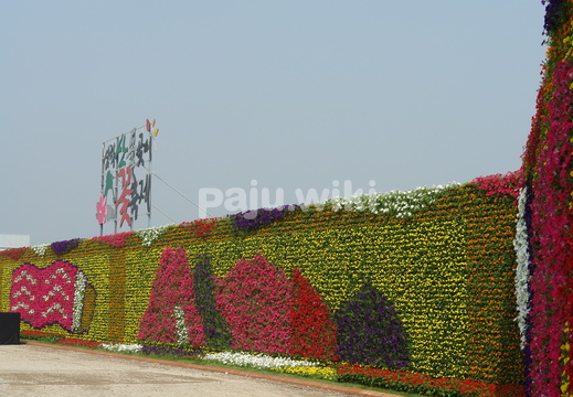 pajuwiki-soni0134
