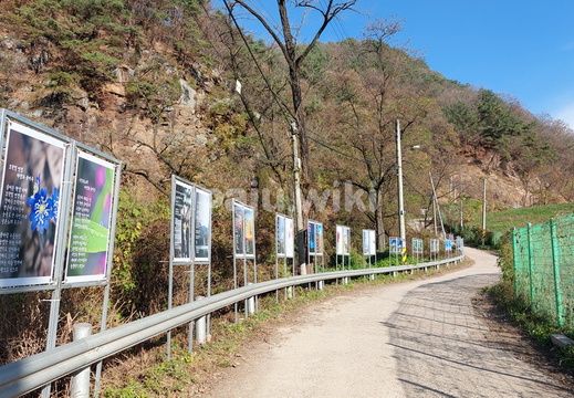 애룡길시화전